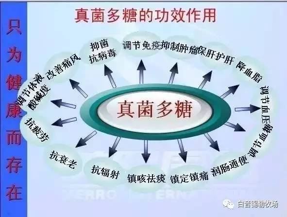 牧场与农场的区别,牧场与农场，深入了解其区别与战略执行计划数据,快速设计响应方案_Mixed14.18.47