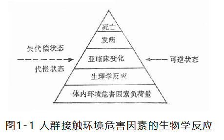 玉米皮有啥用途