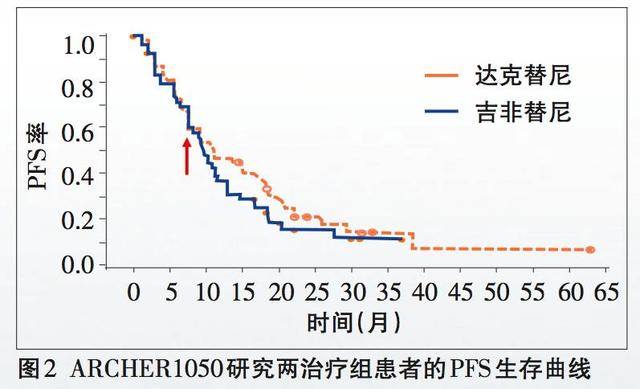 2025澳门开什么结果