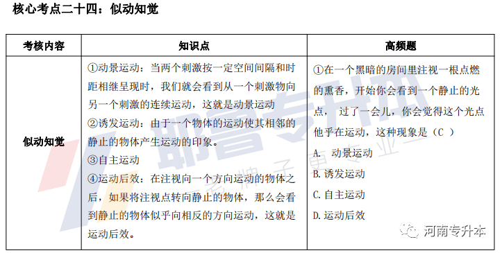 藤编工艺的现状,藤编工艺的现状与科学研究解释定义,权威解读说明_尊贵款22.84.56