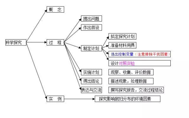 过氧化物的定义和举例,科学解析评估，过氧化物的定义与举例冒险版,专业研究解释定义_XE版61.39.34