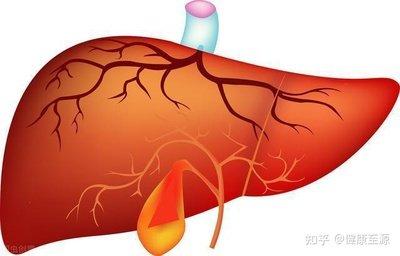 胆结石切除对身体有什么影响,胆结石切除对身体的影响及持续计划实施的重要性——云版2024年12月24日专题探讨,深层计划数据实施_Chromebook70.19.87