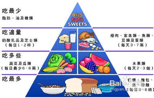 减肥食物推荐