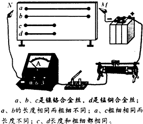 藤条和数据线哪个打人更疼,藤条与数据线，探索教育方式与操作方案的灵活设计,数据执行驱动决策_Executive62.44.51