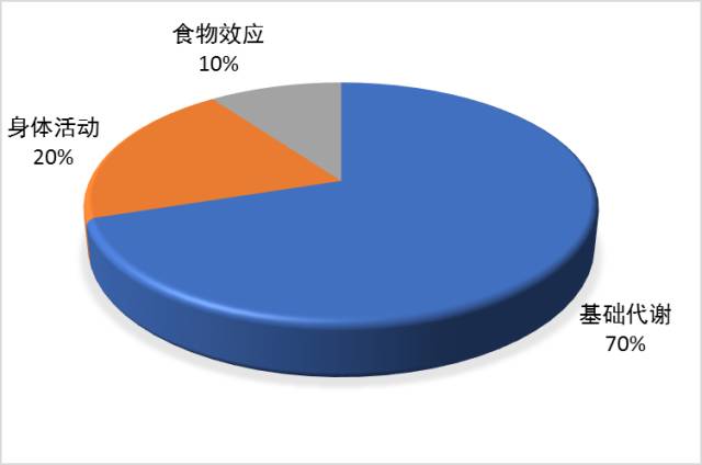 基础代谢提高了体重却增加了