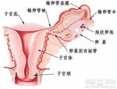 卵巢囊肿像鸡蛋那么大需要手术吗