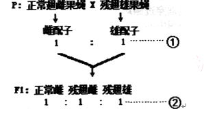 护角是什么,揭秘护角的定义与实证解答，pack69.39.27背后的真相,综合计划评估说明_2DM81.35.52