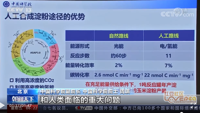 合成树脂易燃吗,合成树脂的易燃性及持久性探讨，旗舰版设计方案下的深度解析,定性说明评估_豪华版42.99.58