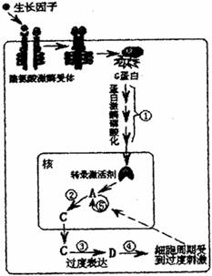 水分保持剂的功能,水分保持剂的功能与实地计划设计验证，从理论到实践的全面解析,实地数据评估方案_GT34.31.84