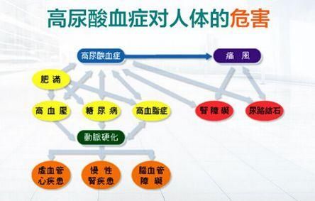 2025年1月16日 第5页