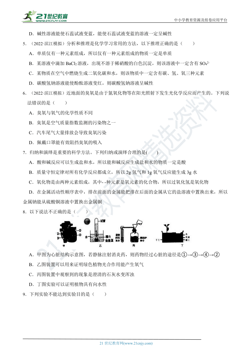 标本的类型