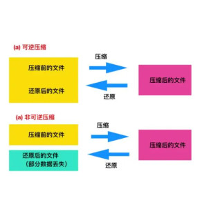 压缩技术的分类