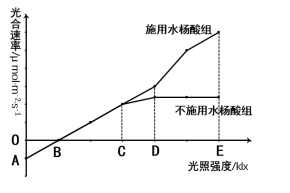 曲柄与天然胶粘剂的种类一样吗