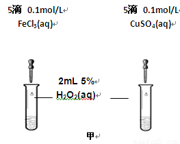 汽油与液压管护套哪个好