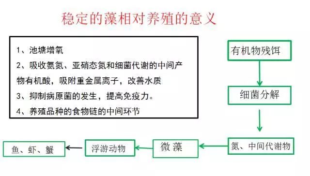 动物胶配方生产流程