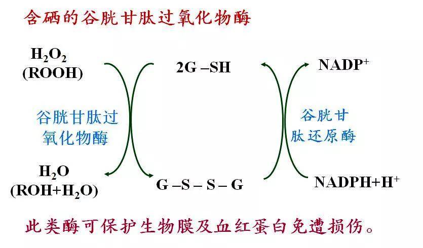 植物胶对人体有害吗