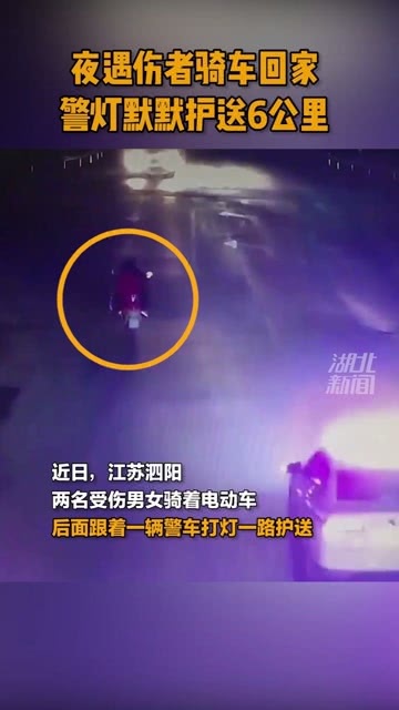 交警警示灯,交警警示灯，全面数据解析与执行洞察,数据解析支持计划_版屋55.23.59