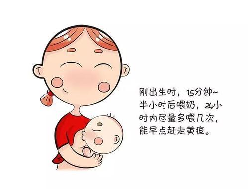 母乳性黄疸可以继续吃母乳吗,母乳性黄疸与数据计划引导执行，深度解析与策略探讨,合理决策评审_版心37.70.33