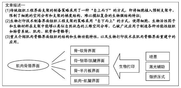 生物工程设备的作用是什么?